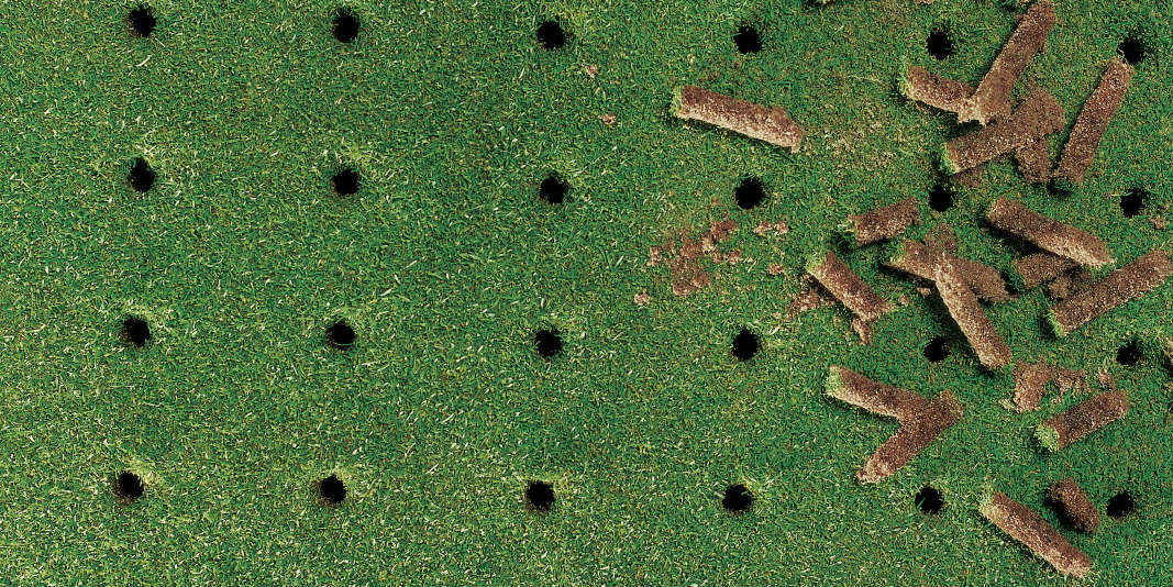 Carotatura green: Marzo 2024